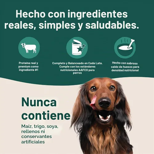 Vista 5 de Jinx Premium Comida Húmeda para Perros en Lata - Paté de Carne - Comida enlatada para perros sin granos con ingredientes reales y sin rellenos