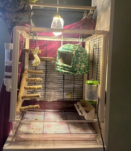 Vista 3 de AWXZOM Perchas de madera natural para pájaros, escalera para pájaros, escalera de loro para hámster, juguetes de escalada para hámster, soporte