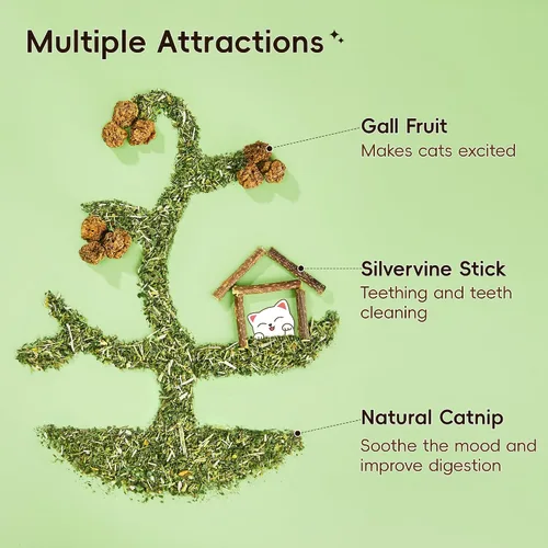Vista 2 de Potaroma Juego de juguetes naturales para gatos con hierba gatera Silvervine y fruta con carcasa de felpa, juguetes orgánicos para gatitos