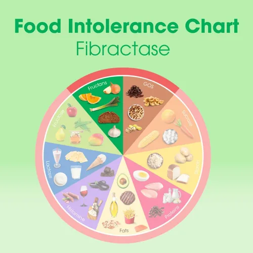 Vista 8 de Intoleran Fibractase 1200 Enzimas Digestivas - 108 Cápsulas Suplemento para la intolerancia a los fructanos y galactanos Ayuda a digerir