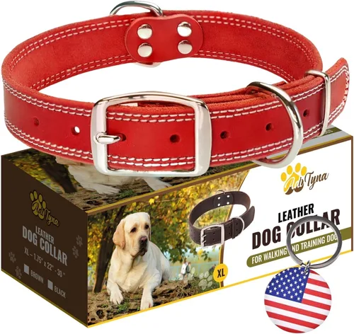 Vista 18 de Collar de perro de cuero negro resistente, collar de perro suave y fuerte para cachorros o razas pequeñas