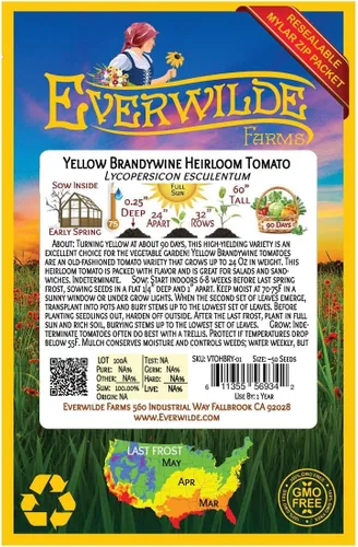 Vista 2 de Everwilde Farms - 50 semillas de tomate tradicionales de brandywine amarillo - Paquete de semillas Gold Vault