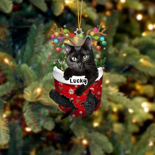 Vista 38 de Adorno personalizado de gato de rizo americano, adorno personalizado con nombre de mascota, colgante acrílico plano impreso en 2D, Papá Noel y gato