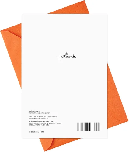 Vista 5 de Hallmark Divertidas tarjetas de Halloween (6 tarjetas con sobres) Calabaza vomitando