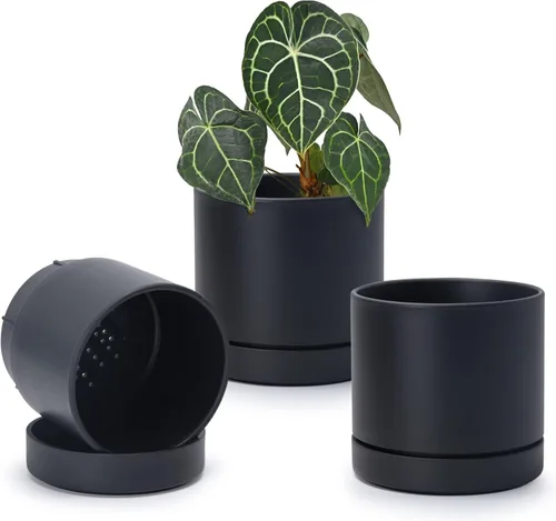 Vista 31 de Phoenix Vine 4 Inch Planter Pot with Drainage Hole & Saucer, Deep Water Catch Tray, Straight Cylindrical Round Pot for Plants, Olive, Pack of 1