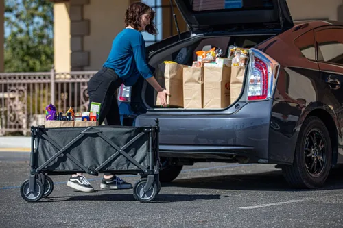 Vista 2 de Picnic TIME NCAA Unisex-Adult NCAA Adventure Wagon Portable Utility Wagon
