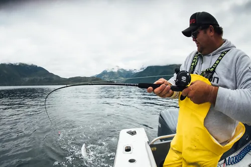 Vista 6 de Carrete de pesca Penn Rival Level Wind convencional