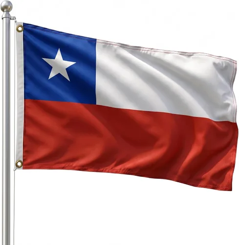 Vista 23 de DMSE - Bandera nacional beninesa beninesa de la República de África Occidental, 2 x 3 pies, 100 % poliéster, 100 % poliéster, resistente a los rayos