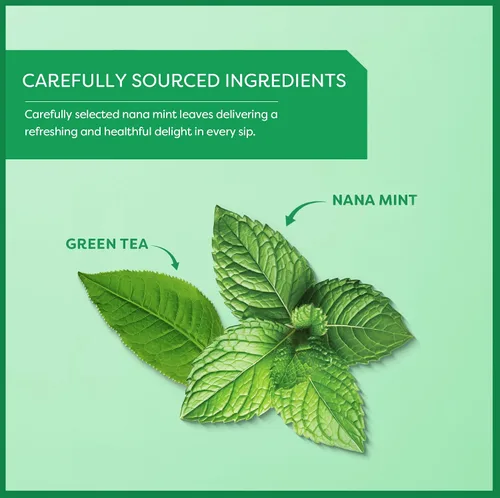 Vista 3 de Wissotzky Té verde menta Nana, 20 bolsas de té Rico en antioxidantes Bolsas de té de menta marroquí Té Nana revitalizante