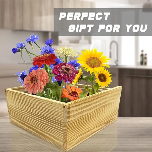 Vista 6 de Meekear Kit de iniciación para interiores 4 con kit de jardinería completo y caja de madera, para cultivar margarita Shasta, aciano, girasol, zinnia