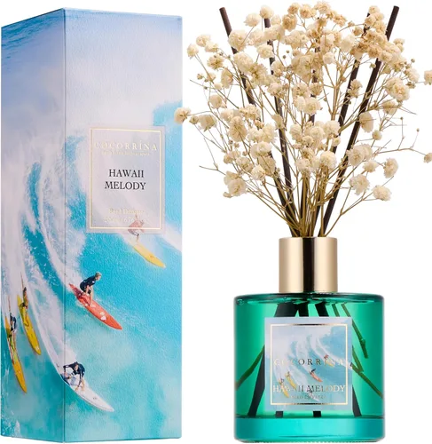 Vista 60 de Difusor de Varillas Cocorrína - Difusor Aromatizante con Aroma de Arroyo de Bambú con 8 Varillas, Difusor de Fragancia para Hogar, Decoración