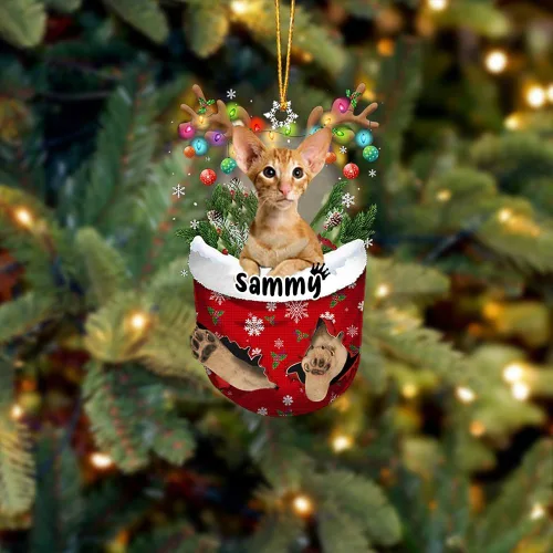 Vista 44 de Adorno personalizado de gato de rizo americano, adorno personalizado con nombre de mascota, colgante acrílico plano impreso en 2D, Papá Noel y gato