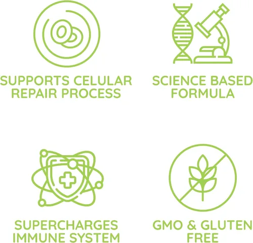 Vista 4 de Beljanski® Productos - Suplemento Dietético Ginkgo V® - Extracto de Ginkgo Biloba - 100 Cápsulas