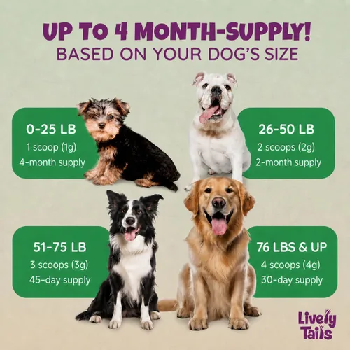 Vista 5 de Polvo de hongos totalmente natural para perros para inmunidad, cognición, longevidad, protuberancias y apoyo de bultos, hongo de cola de pavo