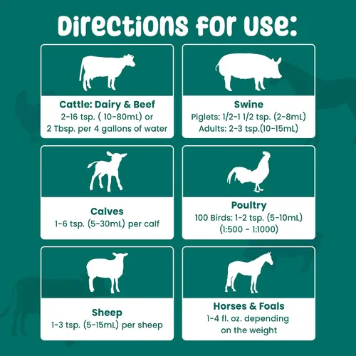 Vista 5 de SCD Bio Livestock - Aditivo líquido probiótico para piensos y agua, suplemento digestivo orgánico para vacas, cerdos, caballos, pollos, patos