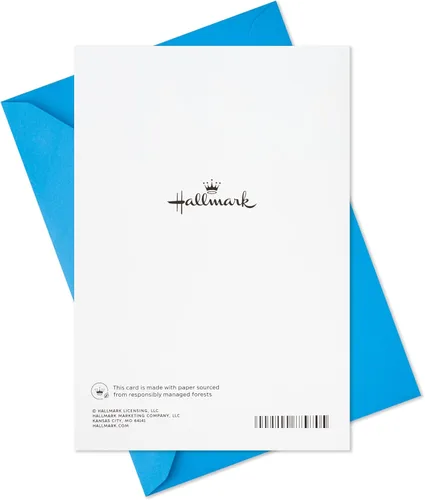 Vista 4 de Hallmark Surtido de tarjetas de graduación, mejor futuro (paquete de 3 tarjetas con sobres)