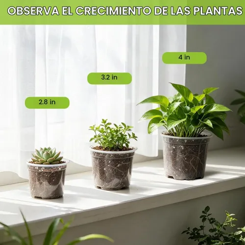 Vista 7 de RooTrimmer Paquete de 100 macetas transparentes de 2.8 pulgadas con agujeros de drenaje, macetas transparentes para semillero, macetas redondas