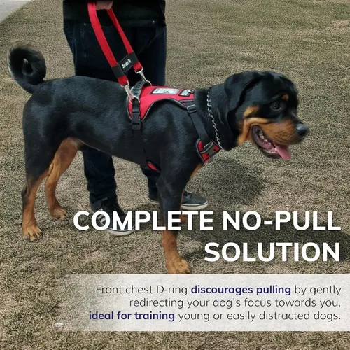 Vista 3 de ActiveDogs - Arnés para perro de servicio, ajustable, sin tirones, para perros pequeños, con parche para perro de servicio, asa, ventana