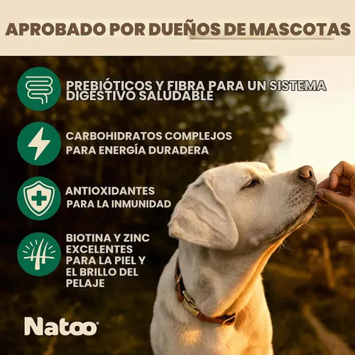 Vista 2 de NATOO Galletas para perros pequeños y cachorros, golosinas crujientes de coco y mango, galletas naturales saludables para perros, ricas en Omega 6