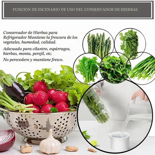Vista 3 de Protector de hierbas, conservador de hierbas para refrigerador, recipiente de cilantro para refrigerador, hierbas frescas, lechuga, conservación