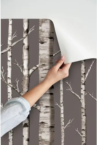 Vista 3 de Peel & Stick Wallpaper Swatch - Birch Grove Forest Woods Trees Rustic Custom Removable Wallpaper by Spoonflower