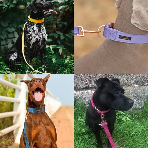 Vista 3 de ARING PET Correa para perro, correas de terciopelo para perro, collares a juego, hecha a mano, resistente correa de terciopelo negro para perros