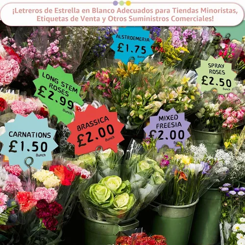 Vista 5 de 360 piezas de decoración de tablón de anuncios, recortes de papel con forma de estrella en blanco para venta al por menor, ventas, tableros