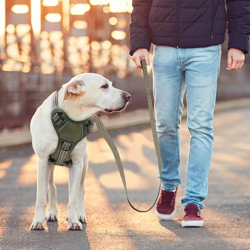 Vista 6 de Arnés sin tirones para perros pequeños, ajustable sin estrangulamiento, chaleco para mascotas con correa para perro, arnés reflectante inteligente