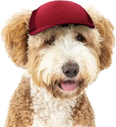 Vista 18 de DIY PupLid Trucker Hats (negro/blanco, XXS) - Sombrero de perro personalizable, lona en blanco para diseño personalizado, ajustable, protección