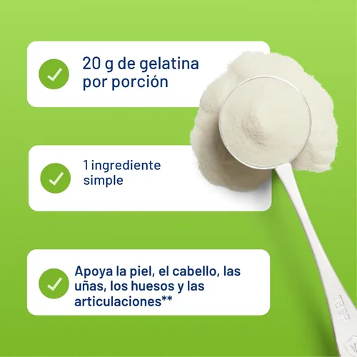 Vista 6 de Vital Proteins Polvo de gelatina de res - Alimentado con pasto 16.4 onzas