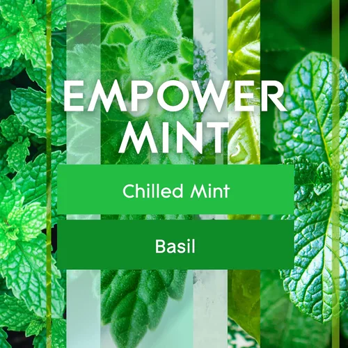 Vista 2 de Glade Recambio automático en aerosol, ambientador para el hogar y el baño, Empower Mint, 6.2 onzas