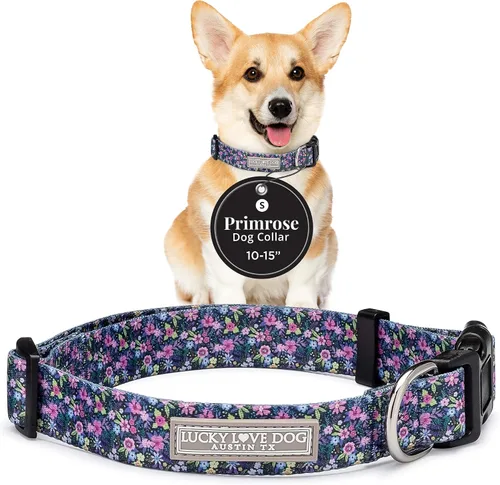 Vista 46 de Lucky Love Dog - Collar para perras pequeñas, diseño Blackbird de estampado alegre con flores de primavera y verano, talla XS Collar Blackbird