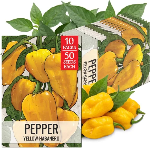 Vista 87 de Seed Needs - Semillas de pimiento arcoíris para plantar verduras, 1 paquete