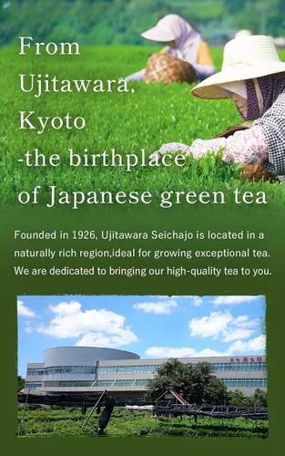 Vista 7 de Kyoto Ujitawara-Seichajyo Uji Matcha Kyo-no-hana Polvo de matcha de grado ceremonial de Kyoto, fabricado en Japón (1.4 oz / 40 g) japonés 64111