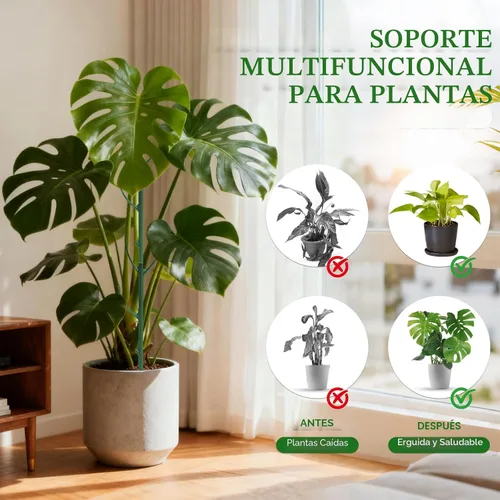 Vista 4 de Paquete de 5 postes ajustables para plantas – Poste de soporte apilable para interiores y exteriores con abrazaderas, adecuado para apoyar Monstera