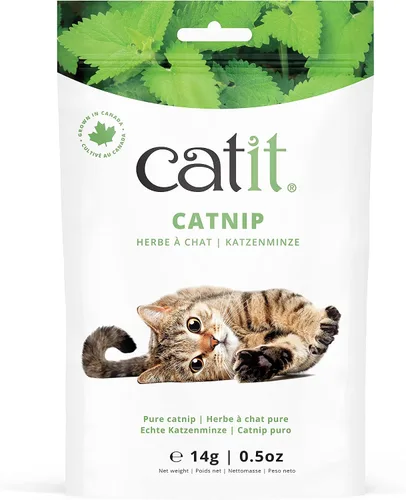Vista 7 de Catit Burbujas de hierba gatera para estimular gatos de interior y exterior