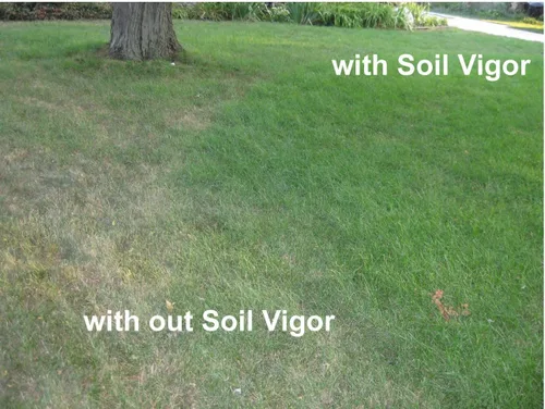 Vista 5 de Cristales de almacenamiento de agua (1 libra) – Hidrogel de polímero súper absorbente para jardines, césped y plantas en maceta, reduce el riego