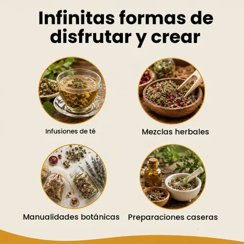 Vista 4 de Hoja de alfalfa cortada y tamizada de hierba a cuerpo – 4 onzas, medicago sativa silvestre, alfalfa de hojas sueltas de estilo orgánico para té