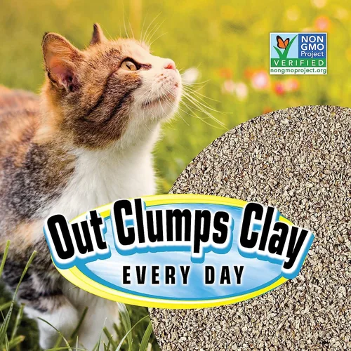 Vista 6 de SmartCat Arena para gatos natural aglomerante, 4.5 kg (453 g 1 paquete) - Alternativa a la arcilla y arena en pellets - Químicamente y 99% libre