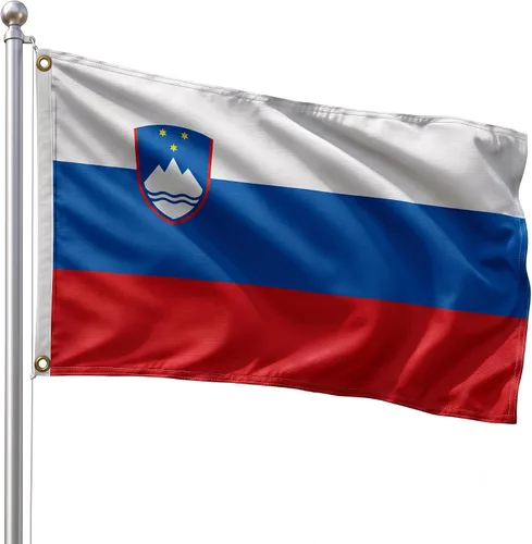 Vista 139 de DMSE - Bandera nacional beninesa beninesa de la República de África Occidental, 2 x 3 pies, 100 % poliéster, 100 % poliéster, resistente a los rayos