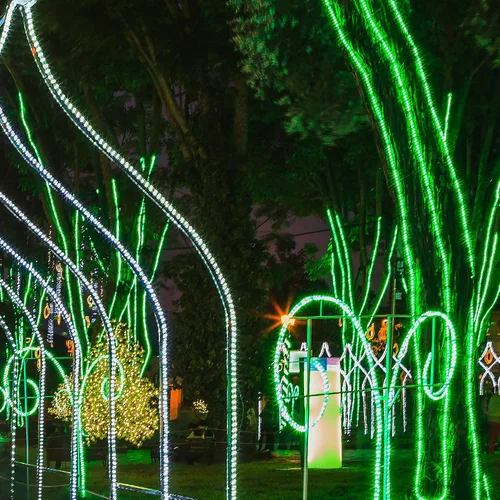 Vista 3 de Wintergreen Lighting Kit de luces de cuerda de 18 pies con 216 bombillas de luz incandescente resistente, luces de cuerda de 120V ETL para Verde