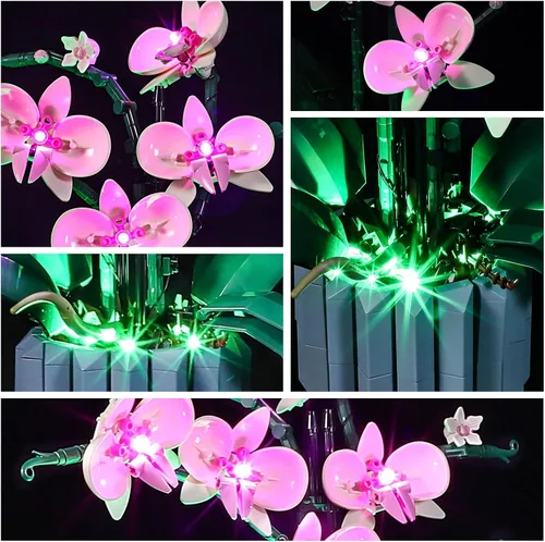 Vista 5 de YEABRICKS Kit de luz LED para Lego - Modelo de bloques de construcción de orquídea creadora, juego de luces LED compatible con 10311