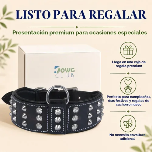 Vista 8 de Collar de perro con tachuelas de cuero genuino Remache de brasero Collar de perro de 2 pulgadas de ancho Grado de sillín, resistente Negro