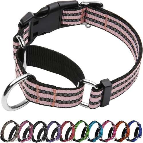 Vista 13 de Martingale - Collar reflectante de nailon ajustable con hebilla de liberación rápida, collares de entrenamiento para perros pequeños, medianos