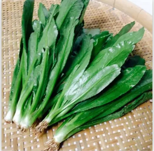 Vista 3 de Set de 3 Verduras vietnamitas Ngò GAI, Rau Càng Cua và Rau tía tô Culantro Thai Parley, peperomia pellucida Semillas de Planta y Semillas de Perilla