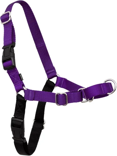 Vista 35 de Arnés de paseo fácil de PetSafe, Negro/Plateado
