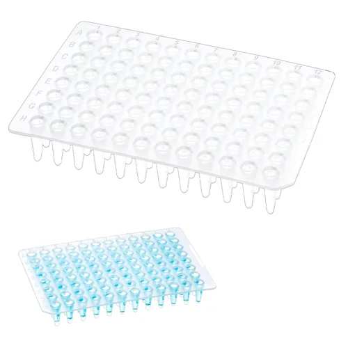 Vista 8 de Placas PCR de 0.0 fl oz de 96 pocillos, sin faldón, placa PCR de polipropileno transparente, 10 placas de tubos de pared ultrafinos, sin ADNasa/RNasa