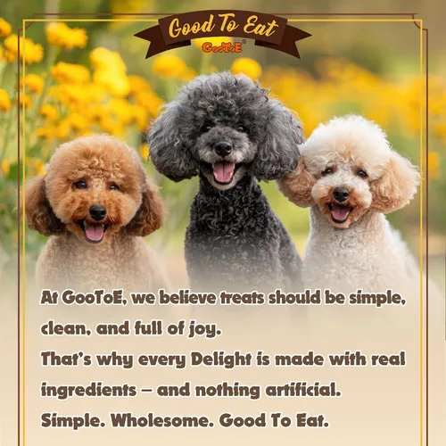 Vista 7 de Gootoe - Tendones de pavo, golosinas para perros para razas pequeñas, hueso (S), 1 libra