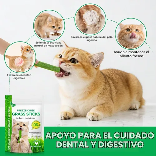 Vista 3 de ISUNRISE Palitos de hierba para gatos de 2.12 oz/2.12 onzas, deliciosas golosinas de hierba para gatos liofilizadas, comestibles, juguete