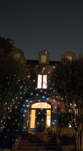 Vista 6 de LedMAll Movimiento Nieve Otoño Espectro Completo Efectos Estrella 7 Color Blanco Láser Luces de Navidad Luces Decorativas Control Rem